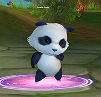 Panda Puppy pet Ether Saga Online